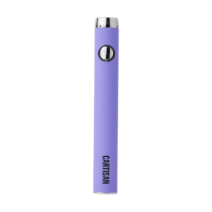 cartisan vv 900 dual charge usb c purple