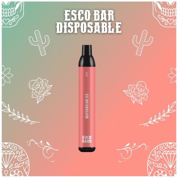 watermelon ice watermelon ice