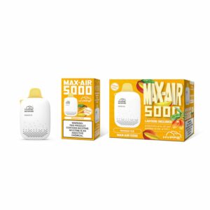 hyppe max air flow 5000 puffs mango ice