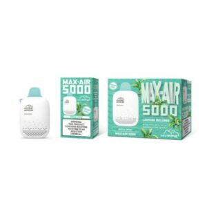 hyppe max air flow 5000 puffs mega mint