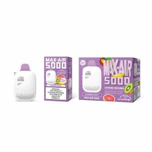 hyppe max air flow 5000 puffs summer fruit