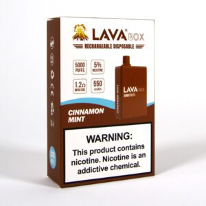 lava box disposable vape cinnamon mint