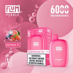 flum pebble berrymelon icy 6000