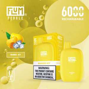 flum pebble mango icy 6000 puffs