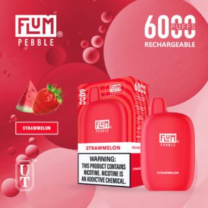 flum pebble strawmelon 6000 puffs