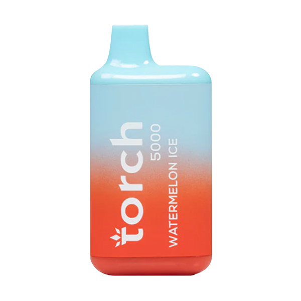 Torch Disposable Vape 5000 Puffs Buy Pods Now