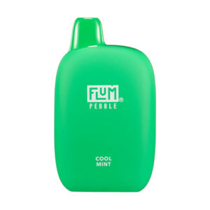 flum pebble 6000 puffs cool mint