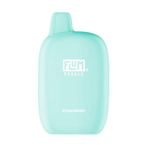 flum pebble 6000 puffs spearmint