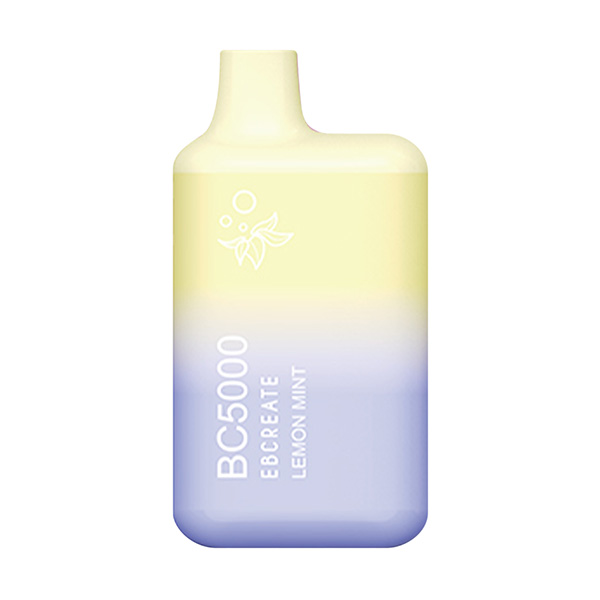 ebcreate bc5000 disposable lemon mint ebcreate bc5000 disposable lemon mint