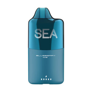 sea xs 15000 puff disposable blueberry ice
